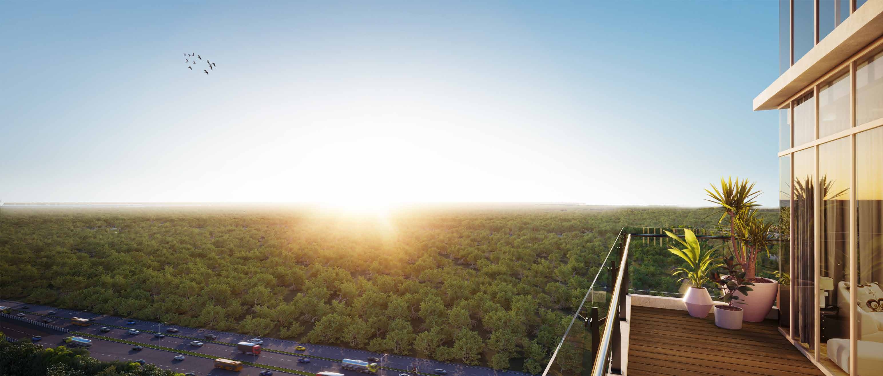 Amenity View